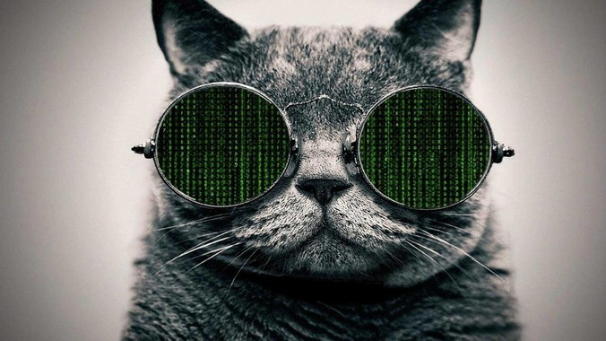 1MB其实是一个很大的存储单位，那么它的存储容量究竟有多大？